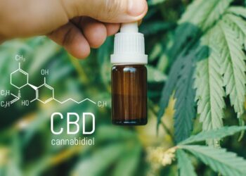Ahora relajarse es más cómodo y práctico con el aceite de CBD