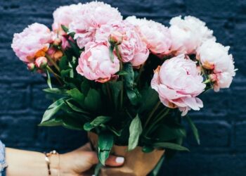floristerías
