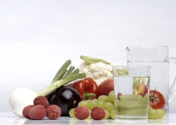 alimentacion ejemplar