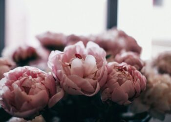 flores funerarias