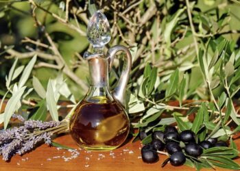 tipos de aceite