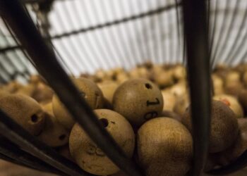 bolas de bingo