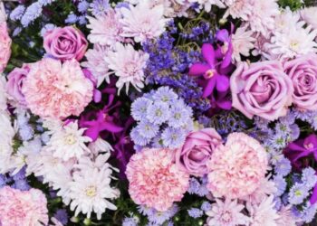 flores rosas