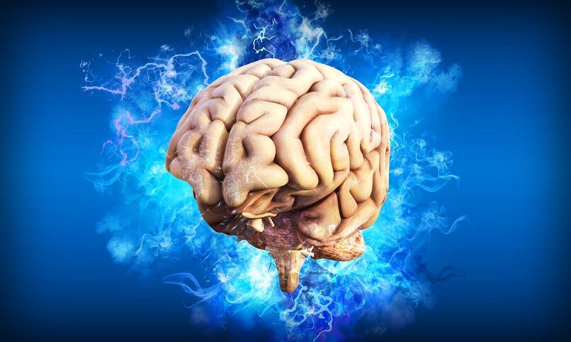 Revolucionario invento puede ayudar a pacientes con epilepsia