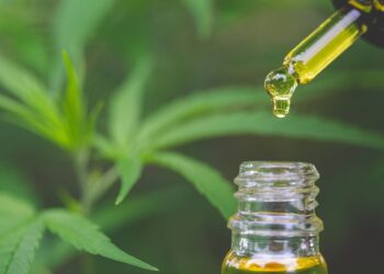 aceite de cbd