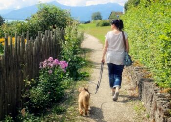 paseando con perro