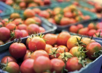 tomates naturales
