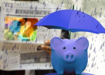 Seguros para divisas