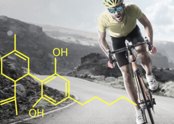 cbd deportistas