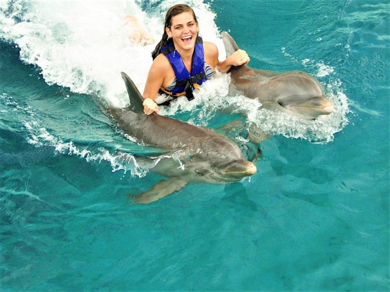 nadar con delfines en cancun 2