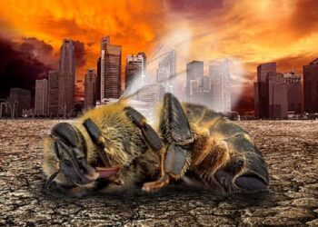 insectos en extincion