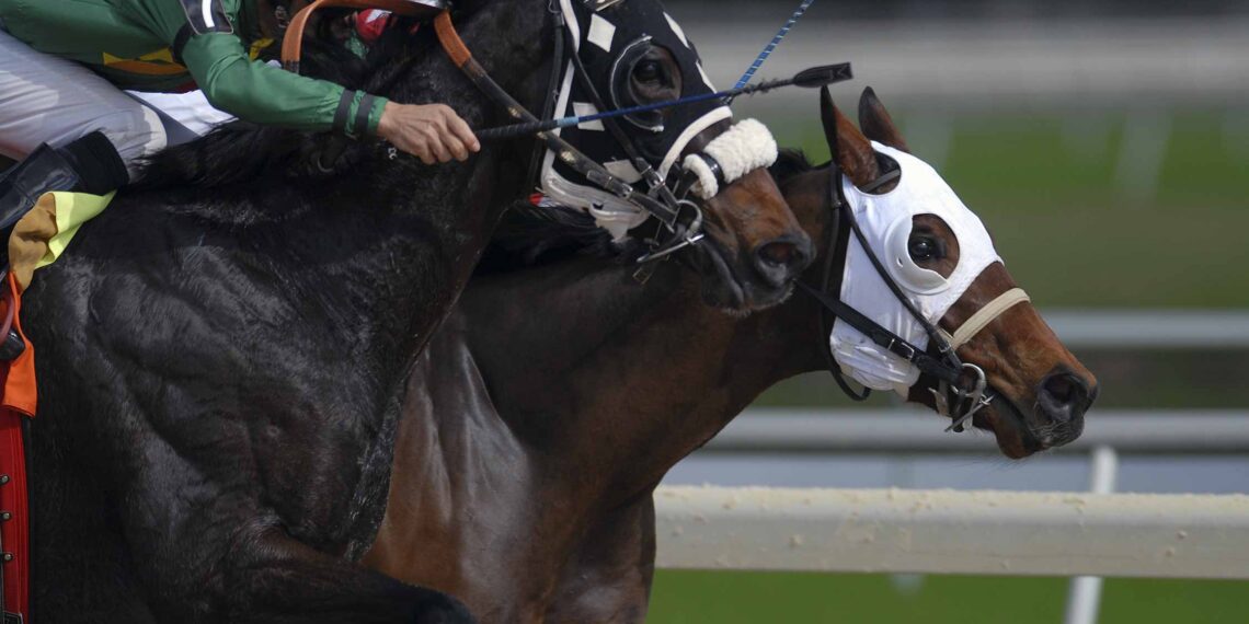 Las 5 carreras de caballos más importantes de Chile y el mundo