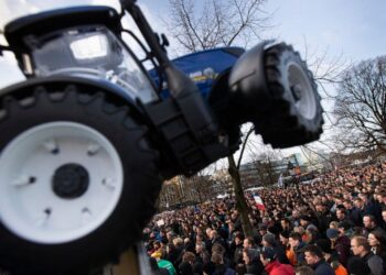 El gobierno holandés enfurece a los agricultores con objetivos de emisiones estrictos