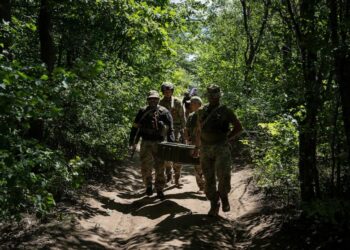 Ukrainian servicemen carry ammunition during training in Kharkiv region, Ukraine, Tuesday, July 19, 2022. (AP Photo/Evgeniy Maloletka)
