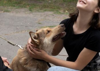A girl plays with a dog in a pet shelter in Kyiv, Ukraine, Tuesday, July 19, 2022. Shellshocked family pets started roaming around Ukraine's capital with nowhere to go in the opening stages of Russia's war. Volunteers opened a shelter to take them in
