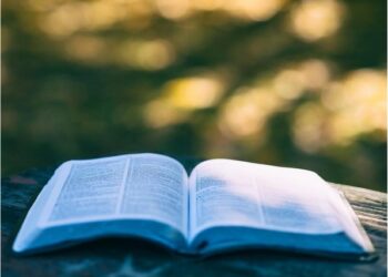 Libros para los amantes de las carreras de motos