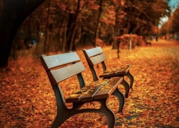 Se acerca el otoño y los meses más fríos. ¿Qué debemos incluir en nuestra dieta y qué hábitos saludables podemos adquirir en estos meses?
