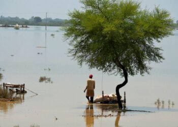 A villager uses cots to save usable items after salvaging from his flood-hit home, in Jaffarabad, a district of Pakistan's southwestern Baluchistan province, Saturday, Aug. 27, 2022. Army troops are being deployed in Pakistan’s flood affected area fo