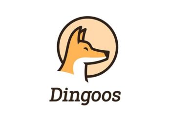 dingoos