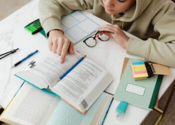 estudios en españa selectividad