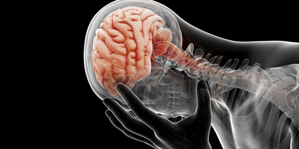 ¿Por qué mi cerebro no retiene información?