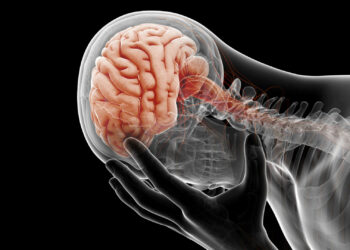 ¿Por qué mi cerebro no retiene información?