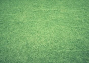 Césped artificial: material innovador ecológico y sostenible