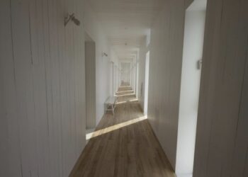 Todo lo que se necesita saber para tener un hogar confortable y bonito