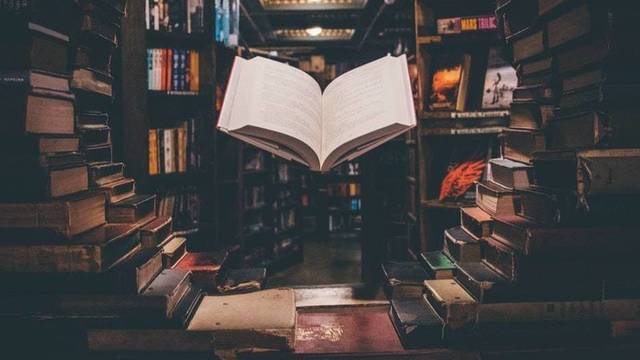 Las Mejores Series Literarias Aclamadas que Debes Leer