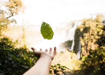 ¿Qué es el upcycling y cuáles son sus beneficios?
