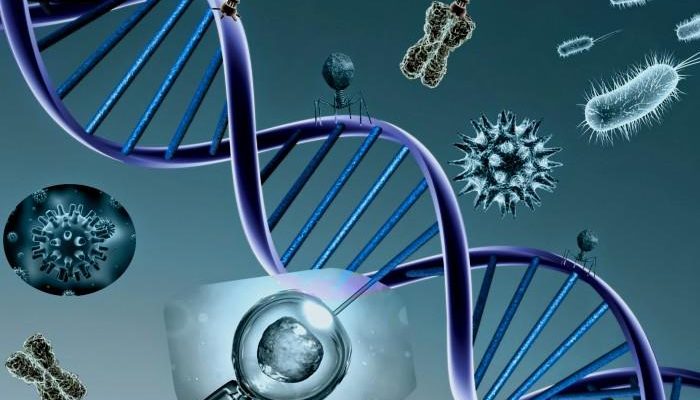 La importancia de la bioquímica en la nutrición: todo lo que necesitas saber