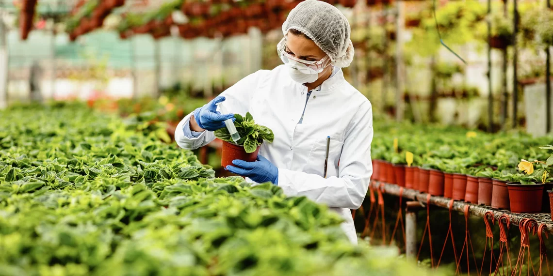 El impacto de la biotecnología en la agricultura: ¿cómo está cambiando el juego?