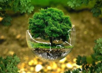 La importancia de la ecología y conservación de hábitats para la biodiversidad