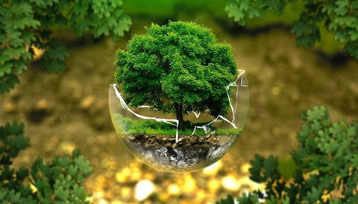 La importancia de la ecología y conservación de hábitats para la biodiversidad