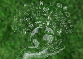 Programas de responsabilidad social: contribuyendo al bienestar social y ambiental