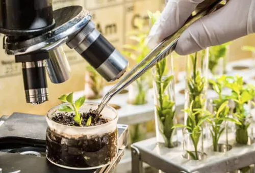 El impacto de la biotecnolog&iacute;a en la agricultura: &iquest;c&oacute;mo est&aacute; cambiando el juego?