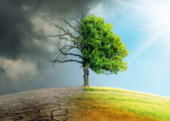La Importancia de la Geología en los Cambios Climáticos: Un Análisis en Profundidad