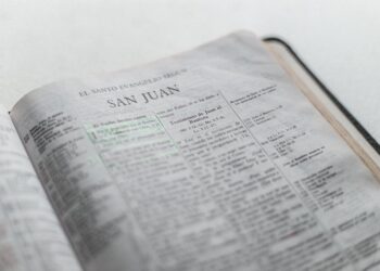 Descubre Los Mejores Libros de Zerocalcare: Guía Definitiva para Fans