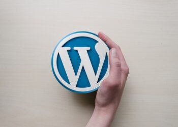 La importancia de contratar un buen diseñador web WordPress