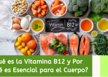 ¿Qué es la Vitamina B12 y Por Qué es Esencial para el Cuerpo?