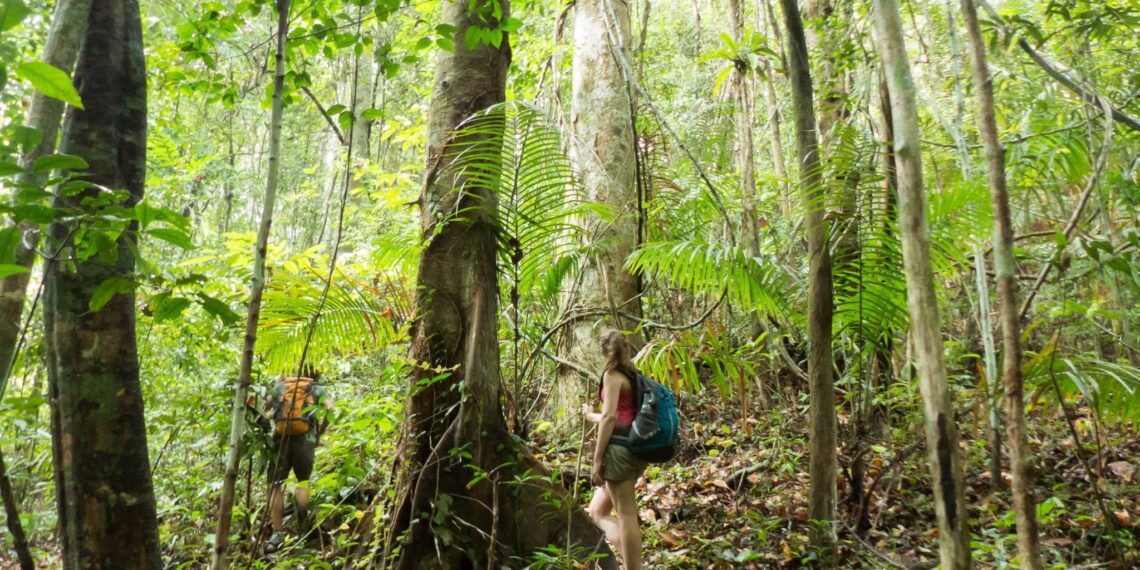 Rutas de senderismo en Tailandia: explorando la naturaleza y la aventura