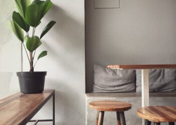 Plantas de interior verdes purificadoras de aire en hogar