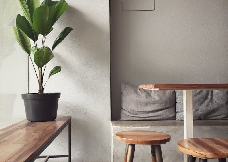 Plantas de interior verdes purificadoras de aire en hogar