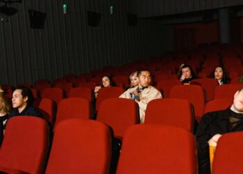 Colección de DVDs y películas de sagas cinematográficas